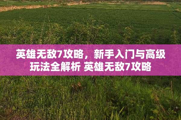 英雄无敌7攻略，新手入门与高级玩法全解析 英雄无敌7攻略