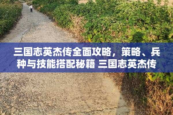 三国志英杰传全面攻略，策略、兵种与技能搭配秘籍 三国志英杰传攻略