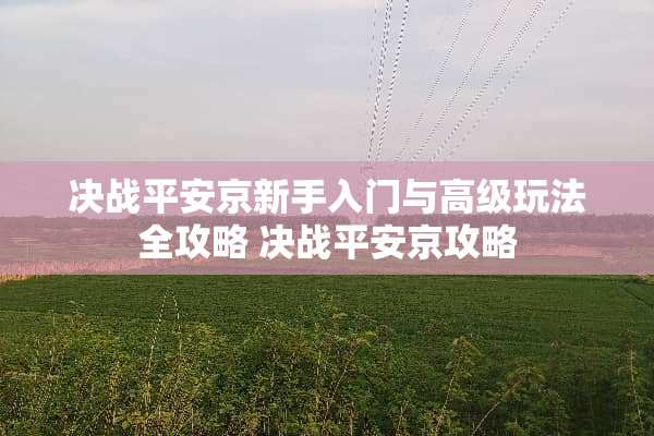 决战平安京新手入门与高级玩法全攻略 决战平安京攻略