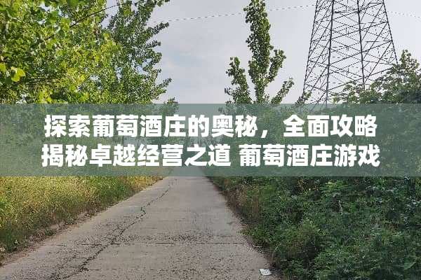 探索葡萄酒庄的奥秘，全面攻略揭秘卓越经营之道 葡萄酒庄游戏攻略