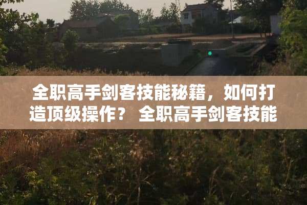 **高手剑客技能秘籍，如何打造**操作？ **高手剑客技能