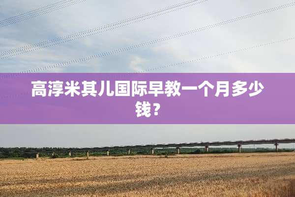 高淳米其儿国际早教一个月多少钱？