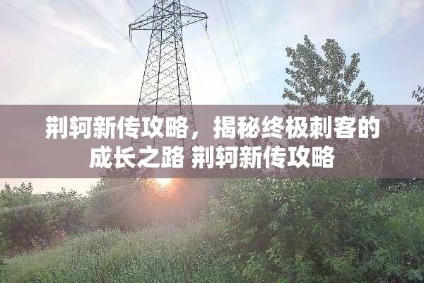 荆轲新传攻略，揭秘终极刺客的成长之路 荆轲新传攻略