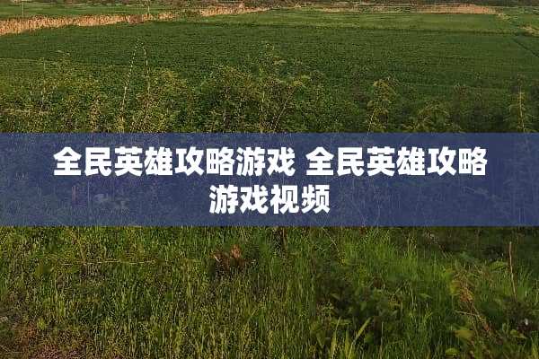 全民英雄攻略游戏 全民英雄攻略游戏视频