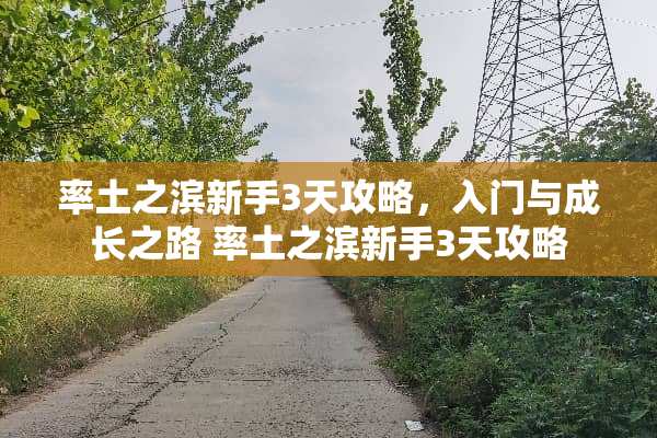 率土之滨新手3天攻略，入门与成长之路 率土之滨新手3天攻略