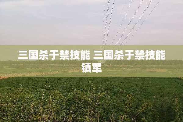 三国杀于禁技能 三国杀于禁技能镇军
