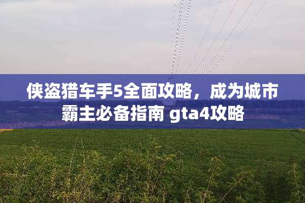 侠盗猎车手5全面攻略，成为城市霸主必备指南 gta4攻略