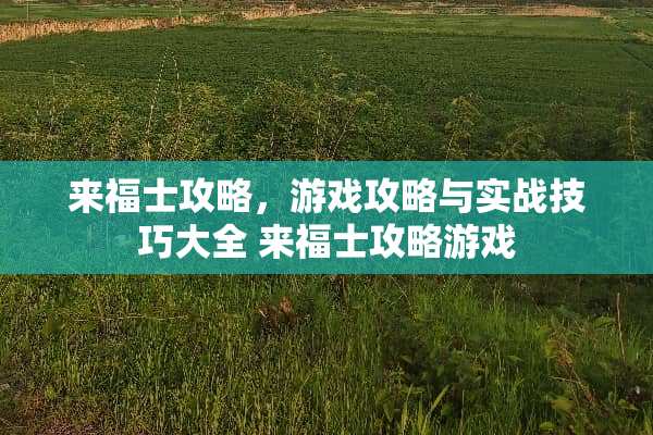 来福士攻略，游戏攻略与实战技巧大全 来福士攻略游戏