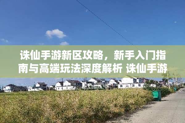 诛仙手游新区攻略，新手入门指南与高端玩法深度解析 诛仙手游新区攻略