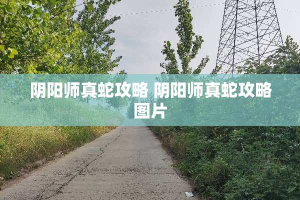 *阳师真蛇攻略 *阳师真蛇攻略图片