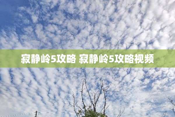 寂静岭5攻略 寂静岭5攻略视频