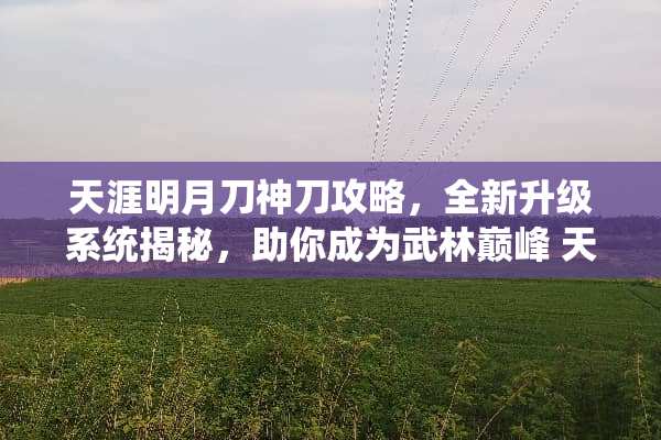 天涯明月刀神刀攻略，全新升级系统揭秘，助你成为武林巅峰 天刀神刀攻略