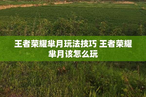 王者荣耀芈月玩法技巧 王者荣耀芈月该怎么玩