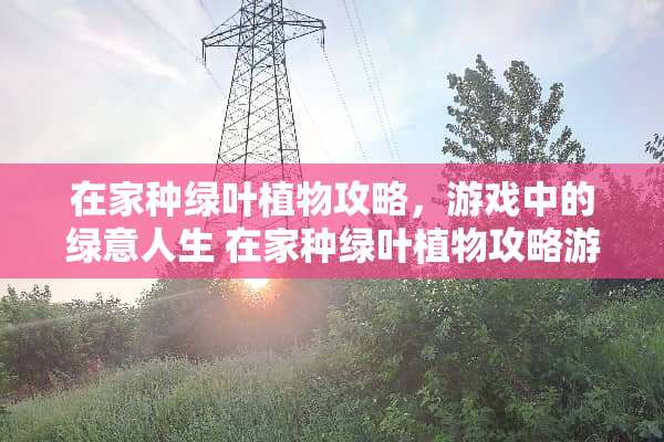 在家种绿叶植物攻略，游戏中的绿意人生 在家种绿叶植物攻略游戏