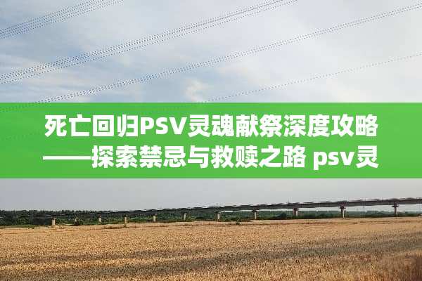 死亡回归PSV灵魂献祭深度攻略——探索禁忌与救赎之路 psv灵魂献祭攻略