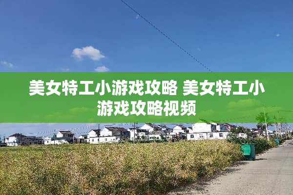 **特工小游戏攻略 **特工小游戏攻略视频