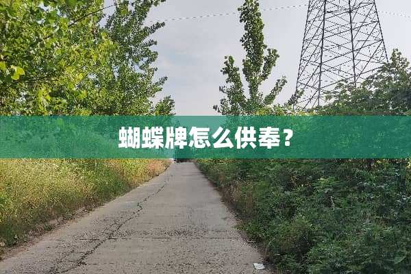 蝴蝶牌怎么供奉？