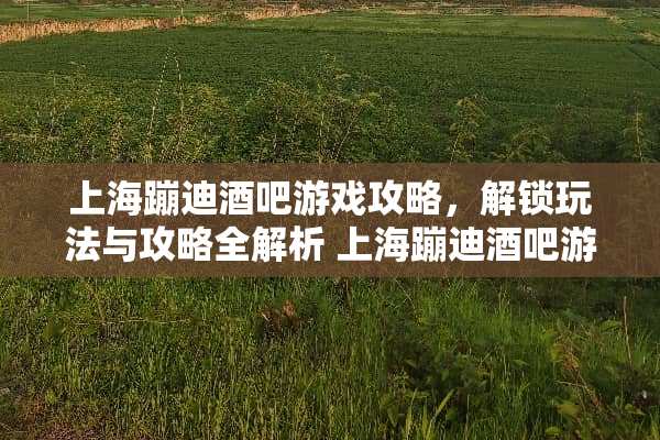 上海蹦迪酒吧游戏攻略，解锁玩法与攻略全解析 上海蹦迪酒吧游戏攻略