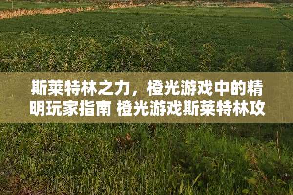 斯莱特林之力，橙光游戏中的精明玩家指南 橙光游戏斯莱特林攻略