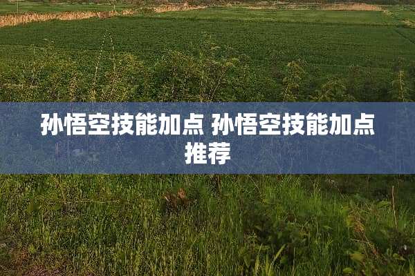 孙悟空技能加点 孙悟空技能加点推荐
