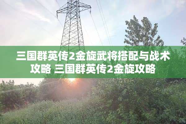 三国群英传2金旋武将搭配与战术攻略 三国群英传2金旋攻略