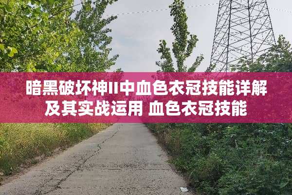 暗黑破坏神II中血色衣冠技能详解及其实战运用 血色衣冠技能