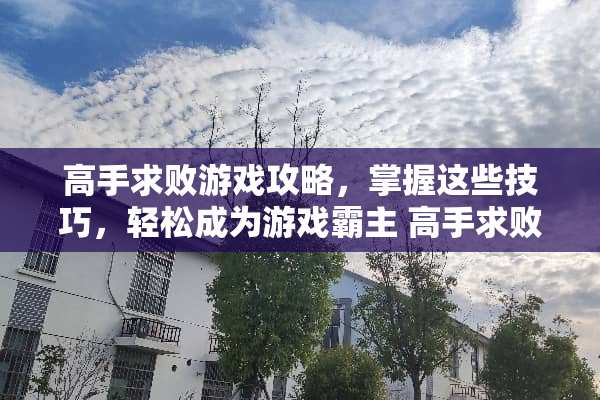 高手求败游戏攻略，掌握这些技巧，轻松成为游戏霸主 高手求败小游戏攻略