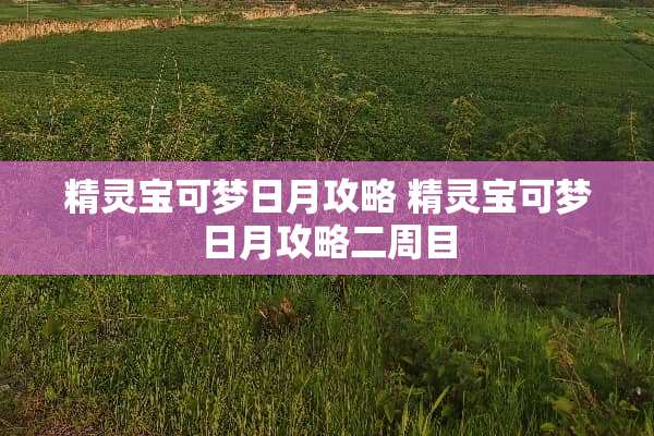 精灵宝可梦日月攻略 精灵宝可梦日月攻略二周目