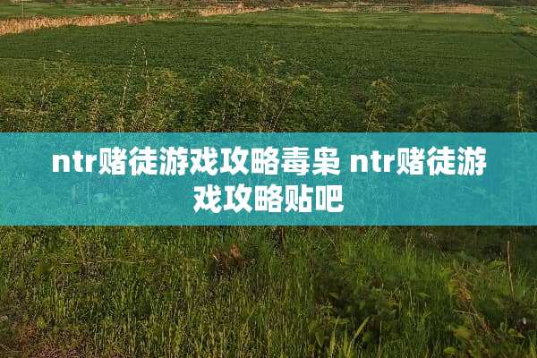 ntr赌徒游戏攻略毒枭 ntr赌徒游戏攻略贴吧