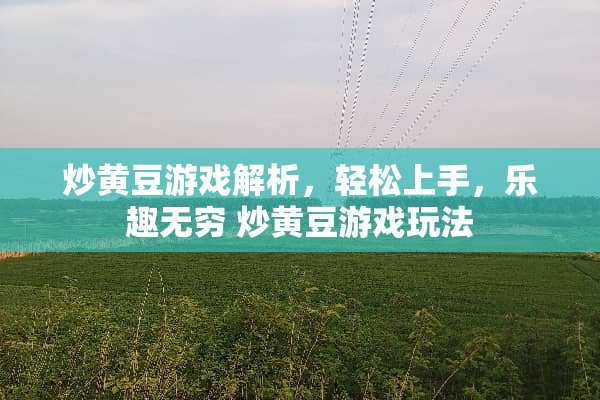 炒黄豆游戏解析，轻松上手，乐趣无穷 炒黄豆游戏玩法
