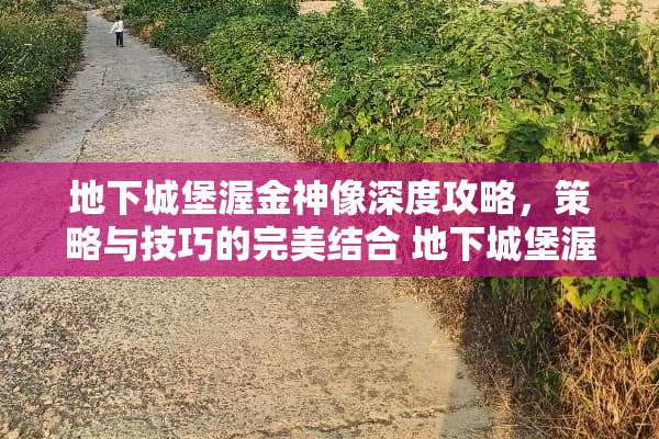 **城堡渥金神像深度攻略，策略与技巧的完美结合 **城堡渥金神像玩法