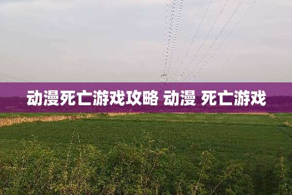 动漫死亡游戏攻略 动漫 死亡游戏