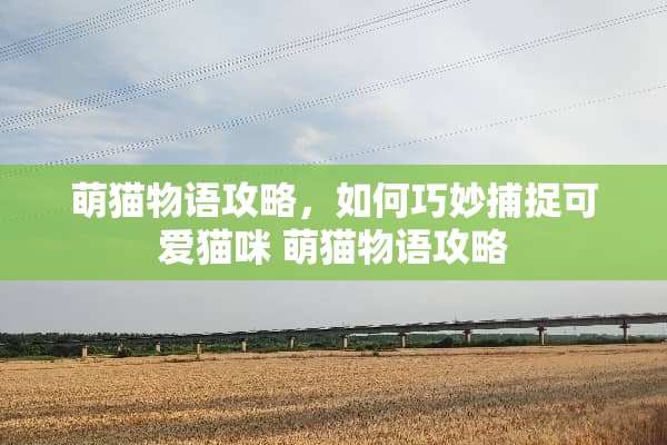 萌猫物语攻略，如何巧妙捕捉可爱猫咪 萌猫物语攻略