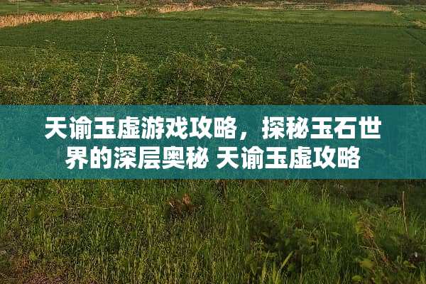 天谕玉虚游戏攻略，探秘玉石世界的深层奥秘 天谕玉虚攻略