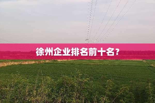 徐州企业排名前十名？