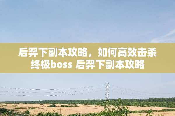 后羿下副本攻略，如何高效击杀终极boss 后羿下副本攻略