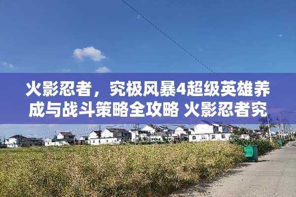 火影忍者，究极风暴4超级英雄养成与战斗策略全攻略 火影忍者究极风暴4攻略