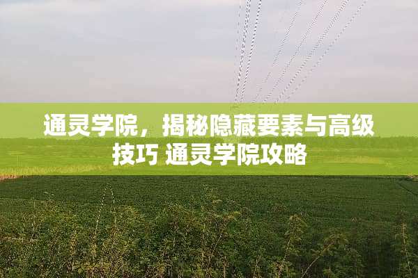 通灵学院，揭秘隐藏要素与高级技巧 通灵学院攻略
