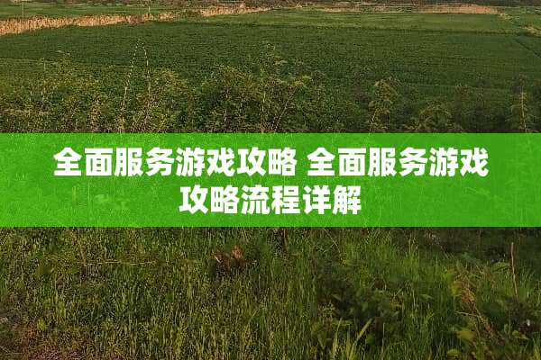 全面服务游戏攻略 全面服务游戏攻略流程详解