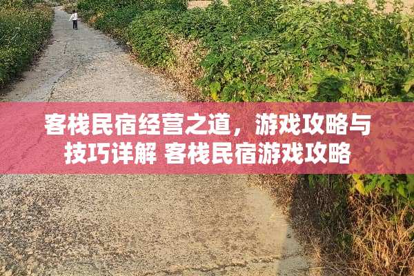客栈民宿经营之道，游戏攻略与技巧详解 客栈民宿游戏攻略