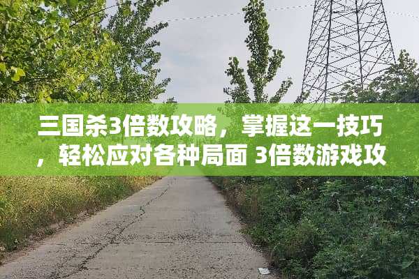 三国杀3倍数攻略，掌握这一技巧，轻松应对各种局面 3倍数游戏攻略
