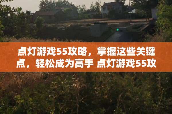 点灯游戏55攻略，掌握这些关键点，轻松成为高手 点灯游戏55攻略