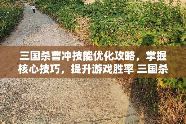 三国杀曹冲技能优化攻略，掌握核心技巧，提升游戏胜率 三国杀曹冲技能
