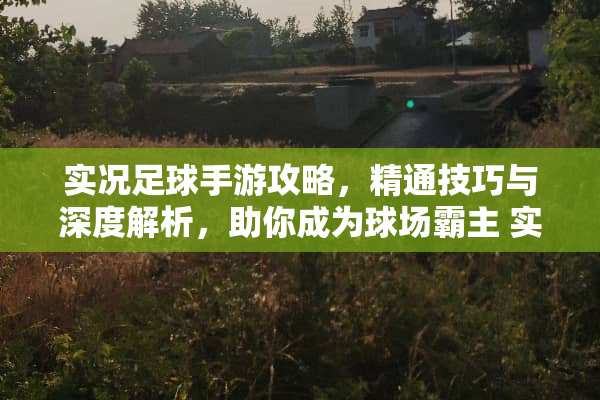 实况**手游攻略，精通技巧与深度解析，助你成为球场霸主 实况**攻略