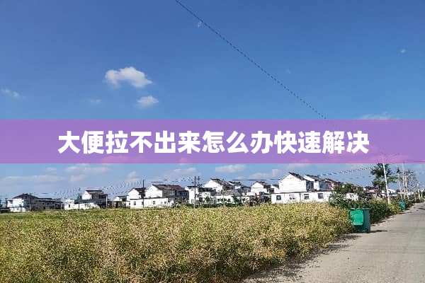 大便拉不出来怎么办快速解决