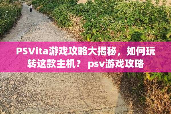 PSVita游戏攻略大揭秘，如何玩转这款主机？ psv游戏攻略