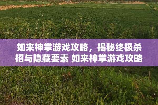 如来神掌游戏攻略，揭秘终极杀招与隐藏要素 如来神掌游戏攻略
