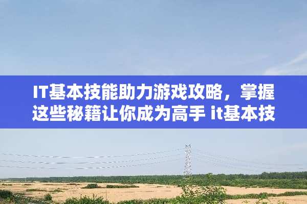 IT基本技能助力游戏攻略，掌握这些秘籍让你成为高手 it基本技能