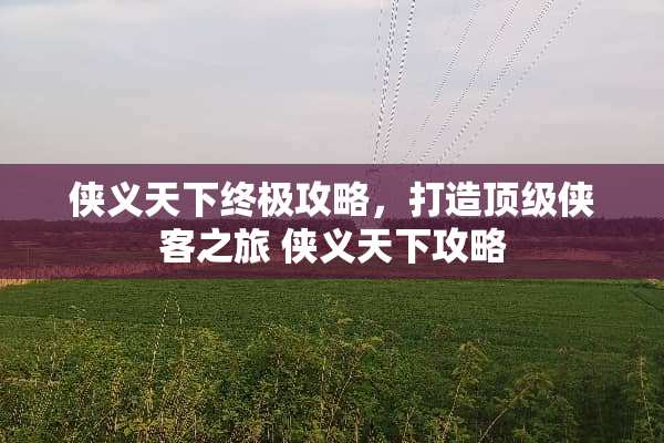 侠义天下终极攻略，打造**侠客之旅 侠义天下攻略