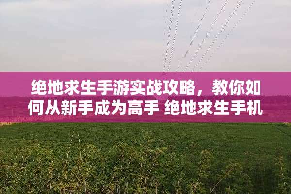 绝地求生手游实战攻略，教你如何从新手成为高手 绝地求生手机玩法教程